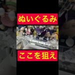 【UFOキャッチャー】ぬいぐるみ攻略法!!!