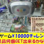 [UFOキャッチャー]ゲーセンでクレーンゲーム¥10000チャレンジ
