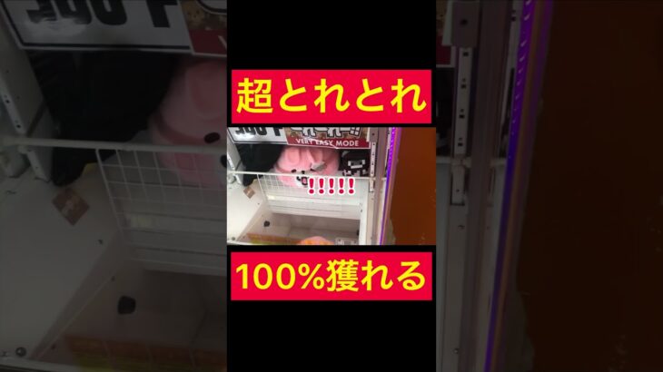 【UFOキャッチャー】100%獲れる台がヤバすぎるww【渋谷】