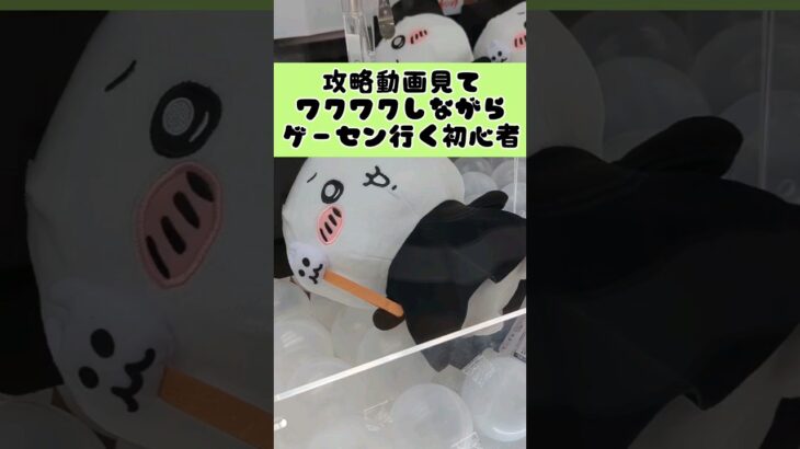 クレゲの攻略動画見て私でも行けるかなって思ったけど… #クレーンゲーム #clawmachine #ufoキャッチャー #ゲームセンター #クレゲ #ぬいぐるみ #ちいかわ　#ぬいぐるみ　#fyp