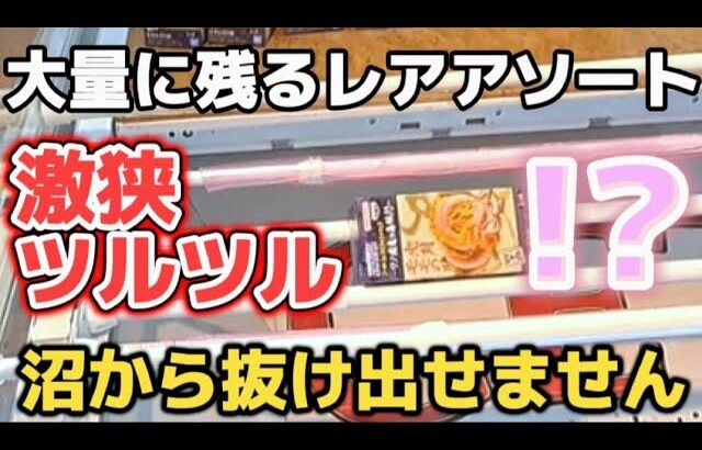 【クレーンゲーム】登場日から日が経っても残るレアアソートに挑戦したら・・【 ufoキャッチャー　ベネクス川越店 】