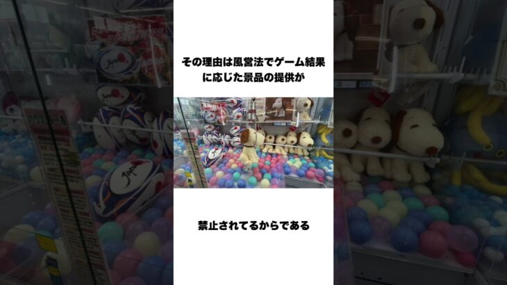 クレーンゲームに関する知っておくと少しドヤれる雑学　 #ufoキャッチャー #クレーンゲーム　#shorts