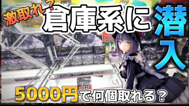 【クレーンゲーム店舗ライブ！】しゃけクレーンと5000円で何個取れるか！！