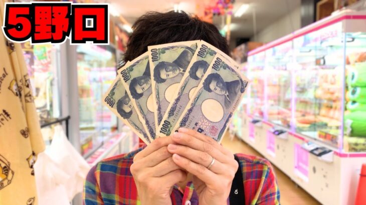 5000円でクレーンゲームしたらまさかの事態に…【UFOキャッチャー】