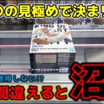 【クレーンゲーム】一歩間違えれば沼が開幕！〇〇の見極めで全てが決まる！？【回遊館養父店・UFOキャッチャー】