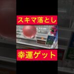 【UFOキャッチャー】幸運のスキマ落としゲット!!!!