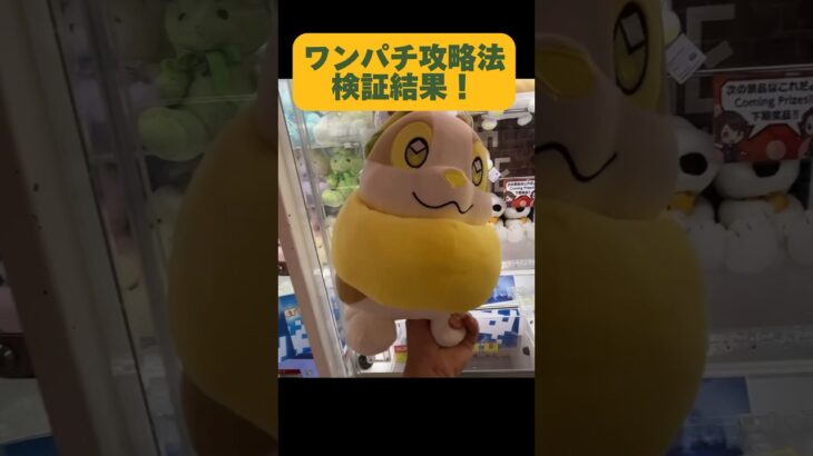 ワンパチ攻略法検証！#shorts #クレーンゲーム #ufoキャッチャー #ポケモン #yamper #pokemon