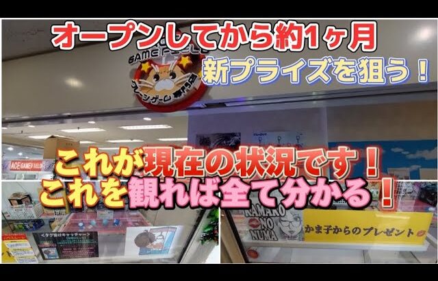 【クレーンゲーム】オープンしてから約1ヶ月久々にお店調査したら実は！？観れば全て分かるお店の設定(オススメブースあり)UFOキャッチャー お菓子 フィギュア