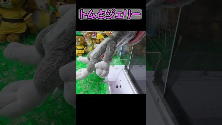 【クレーンゲーム獲得動画】ぬいぐるみの細長景品は、こう狙うしかないか！？トムとジェリーのBIGプライズをゲット！ #294 #shorts #short #clawmachine  #인형뽑기