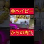【UFOキャッチャー】金ベイビーからの超リアル肉!!
