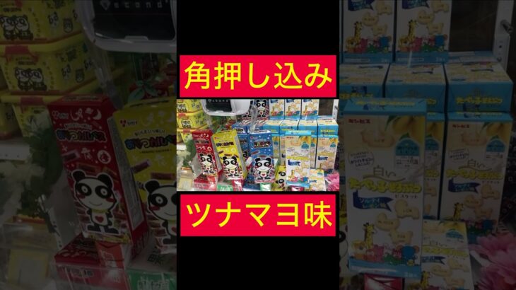 【UFOキャッチャー】取れそうな台を見極める51