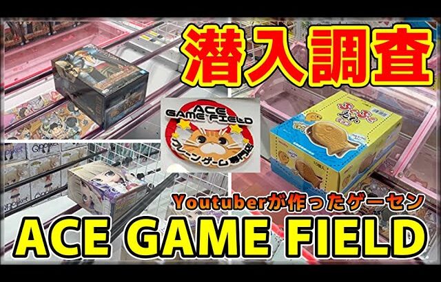 【クレーンゲーム】Youtuberが作ったゲーセンに潜入調査！神戸にオープンした新店、実際どうなの？【ACE GAME FIELD・UFOキャッチャー】