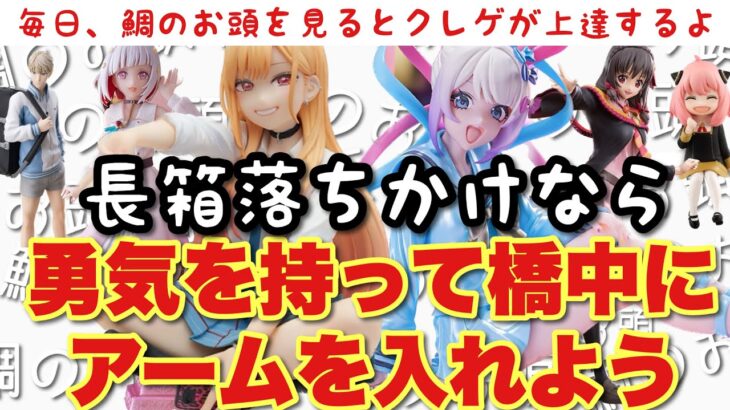 【クレーンゲーム】長箱落ちかけなら！勇気を持って橋中にアームを入れよう！君の勇気を見せて‼️