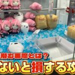 こんなハズじゃなかった…ゲーセンの巧妙な罠に完全にしてやられましたw【クレーンゲーム】#ufoキャッチャー #アニメ #日本