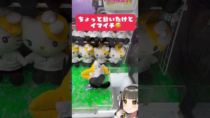 yoshikitty ヨシキティをラウンドワンで攻略！#クレゲ好きと繋がりたい #クレーンゲーム動画 #ufoキャッチャー #クレーンゲームのコツ #キティ #キティーちゃん