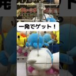 もう12月、、クレーンゲーム #ufoキャッチャー #ユーフォーキャッチャー #ゲームセンター #games #pokemon #ポケモン#ポケットモンスター#ピカチュウ#攻略#マリル