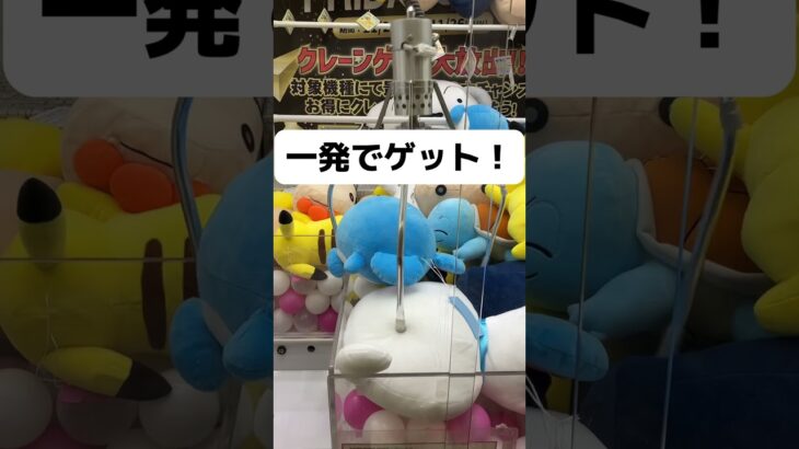 もう12月、、クレーンゲーム #ufoキャッチャー #ユーフォーキャッチャー #ゲームセンター #games #pokemon #ポケモン#ポケットモンスター#ピカチュウ#攻略#マリル