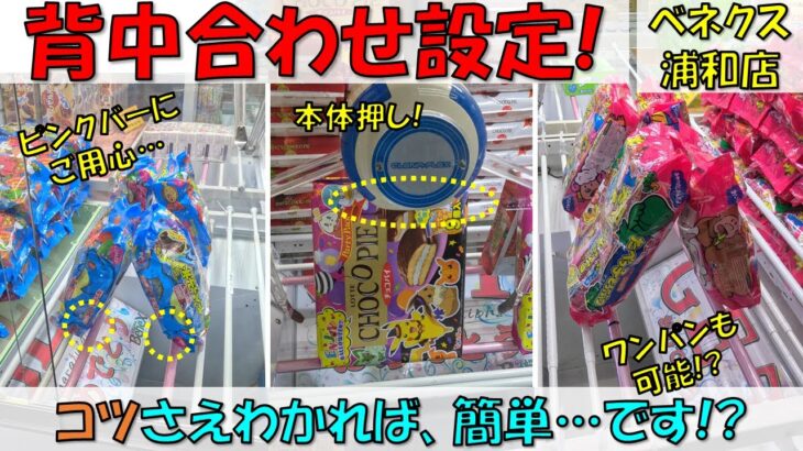 背中合わせ設定! コツさえわかれば、簡単…です!? チョコパイ たべっこ動物 たべっこ水族館【クレーンゲーム 橋渡し ベネクス浦和店】2023.10.08 – 11.28