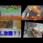 「クレーンゲーム」日本一取れるお店は、BCもし放題！？とにかく獲れる？