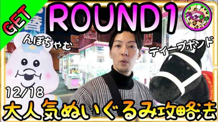 大人気ぬいぐるみ攻略!!ROUND1で新作サラブレッドコレクション んぽちゃむが優良設定に入っていた!!