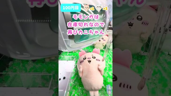 ちいかわモモンガ古本屋カニちゃん激低シールドで勝ち確定！？クレーンゲーム攻略