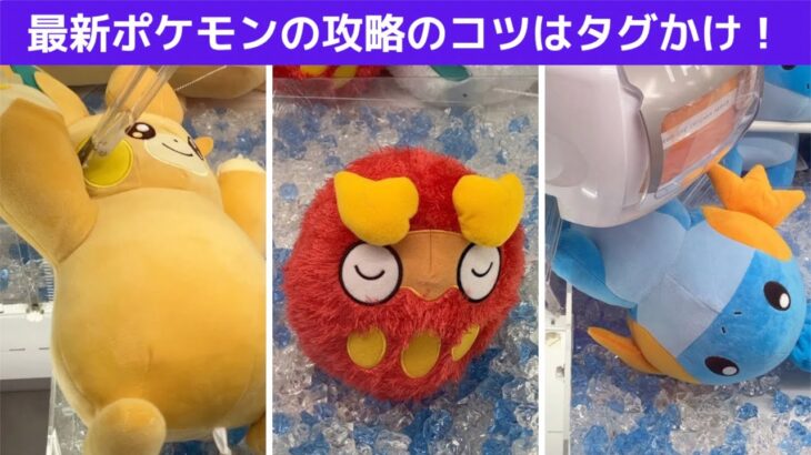 【クレーンゲーム】最新のポケモンのぬいぐるみを攻略するコツはタグかけにあり！