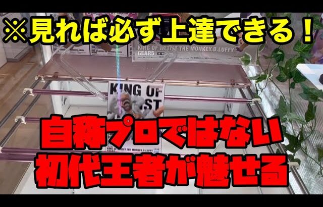 【クレーンゲーム】和歌山にできた新店が一番熱い！初代クレーン王者が魅せる今すぐ使える最強攻略法！？