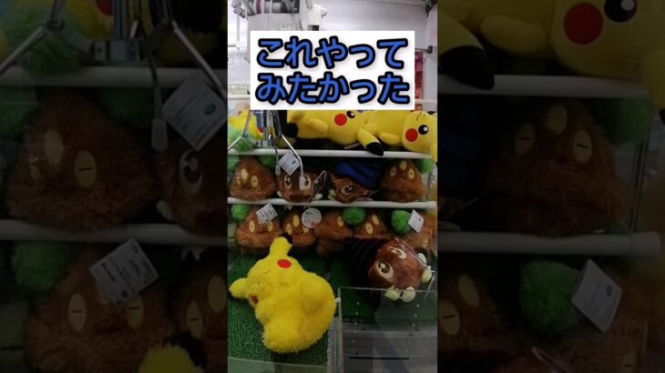 クレーンゲーム😁とれる？😱とれない？