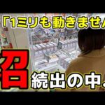 【クレーンゲーム】景品が1ミリも動かない…「沼」続出の中…安定したプレイをする人が！【回遊館鳥取店・UFOキャッチャー」