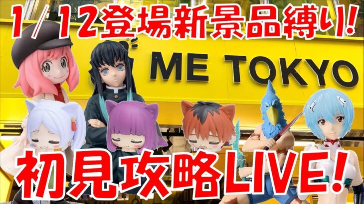 1/12登場新景品全部取るまで?? 葬送のフリーレンおひるねこが欲しい!! LIVE IN ME TOKYO SHINJUKU