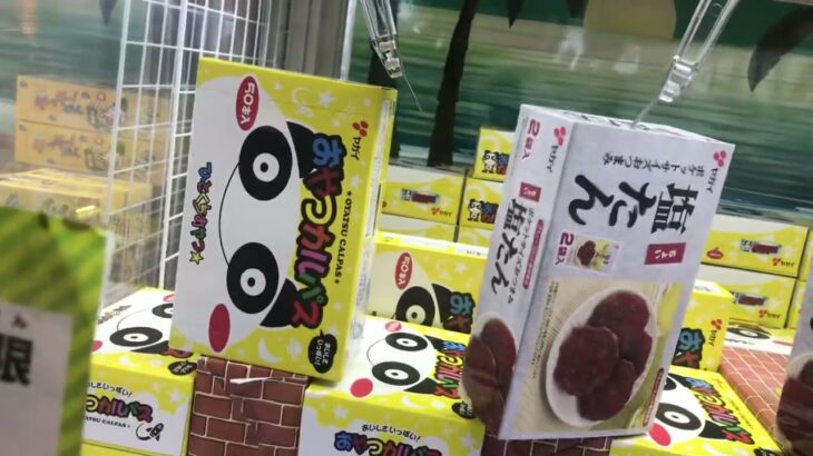 【クレーンゲーム】初心者が500円6回分でお菓子が何個取れるか検証してみた