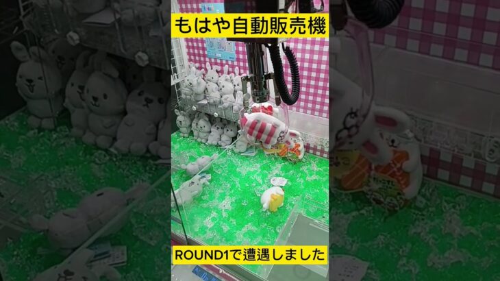 クレーンゲーム　ROUND1もはや自動販売機やんこれ！　#shorts #日本夾娃娃機 #クレーンゲーム