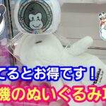 UFOキャッチャー 知ってるとお得！確率機のぬいぐるみ攻略！【パンダ先生夫婦のクレーンゲーム】