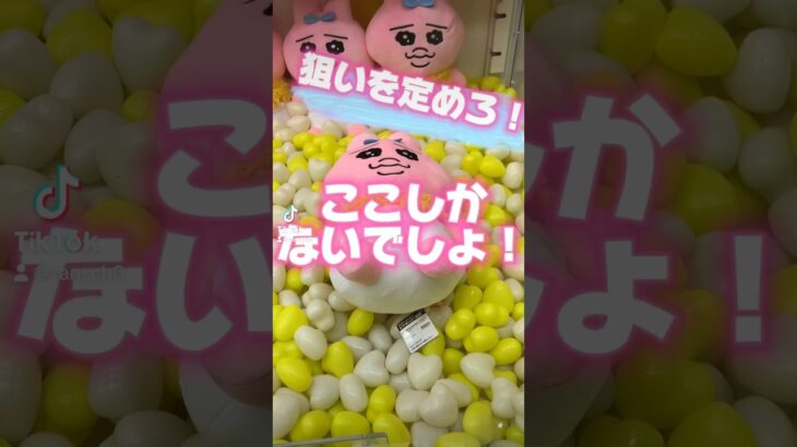 【クレーンゲーム】ぬいぐるみはまずこれが出来る場所探しから【UFOキャッチャー】