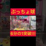 【UFOキャッチャー】ギャンブルぷっちょ！確率6分の1突破!!!