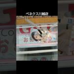 【クレーンゲーム攻略】ベネクス川越店のufoキャッチャーにあるSHYフィギュアを見事にゲットした #shorts