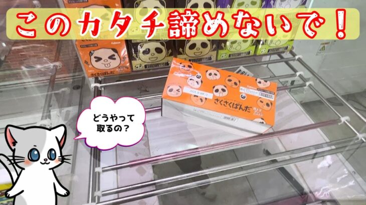 【クレーンゲーム】放置された景品の取り方教えます！ついでに新景品も千葉鑑定団酒々井店で獲得しよう！　もってきーな酒々井店にて実践１