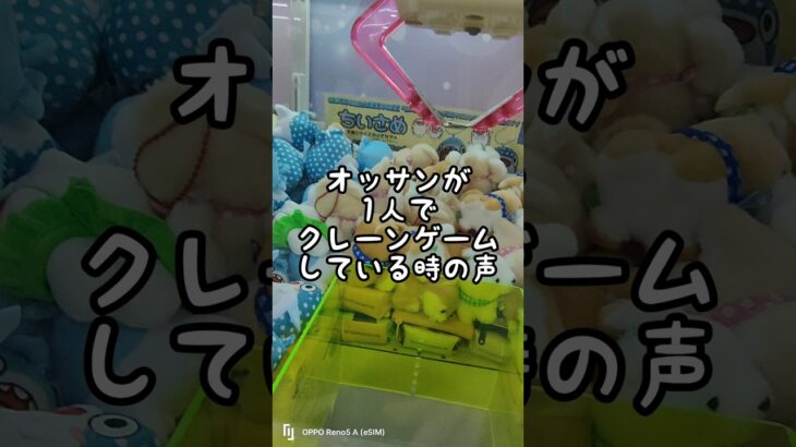 オッサン一人でもクレーンゲームは楽しめます笑