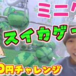 【ミニクレ】”スイカゲーム”景品1000円チャレンジ🔥アグリーベイビーズもスイカバージョン‼️👀✨【ミニクレーンゲーム/UFOキャッチャー】