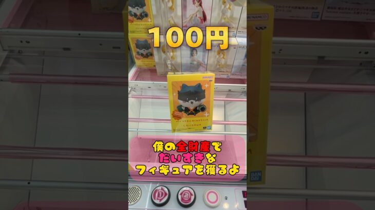 クレーンゲーム1000円チャレンジ！　#short #ufoキャッチャー #クレーンゲーム