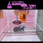 のんびりオンクレ✨なんか(  ﾟдﾟ)ｸﾚ！#GET #UFOキャッチャー #クレーンゲーム #clawmachine #ぬいぐるみ