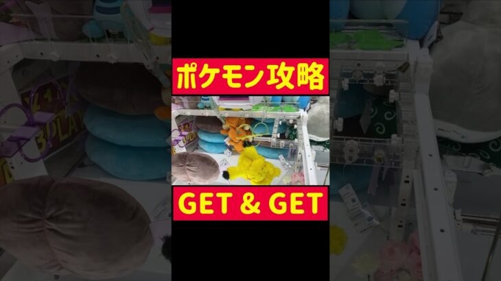 【UFOキャッチャー】大人気ポケモンぬいぐるみGET