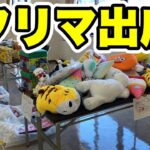 【フリマ出店】ゲーセンの景品売却します！ #clawmachine #japaneseclawmachine #ufoキャッチャー #クレーンゲーム #日本夾娃娃