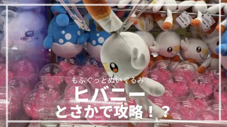 最新ヒバニー！とさかで攻略！？#ポケットモンスター #ポケモン #pokemon #クレーンゲーム #ヒバニー