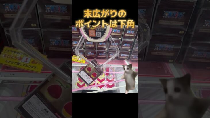 【猫ミーム】クレーンゲーム上達のコツ！末広がりのポイントは下角！【ベネクス浦和】#猫ミーム #クレーンゲーム #フィギュア #ufoキャッチャー