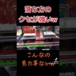 奇跡的な落ち方が妙に楽しい!#クレーンゲーム #ufoキャッチャー #clawmachine