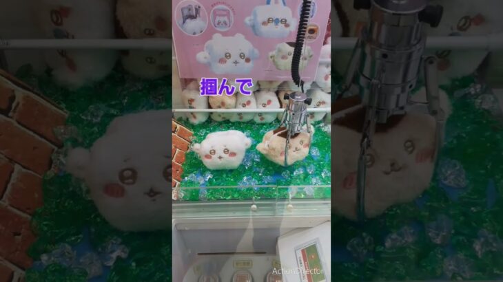 【クレーンゲーム】これがあるからクレゲは楽しい🌟ちぃかわ栗まんじゅうを転がすぅ～🌰