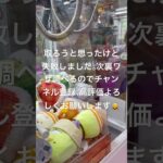 クレーンゲームやったけど失敗しました。次裏ワザ調べます。