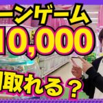 クレーンゲーム1万円勝負してみたw【食品、フィギュア、雑貨祭り】