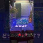 【切り抜き】クレーンゲームで21年熟成のお酒ゲットw【白シロ】#shorts